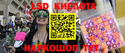 прущие грибы Заводоуковск