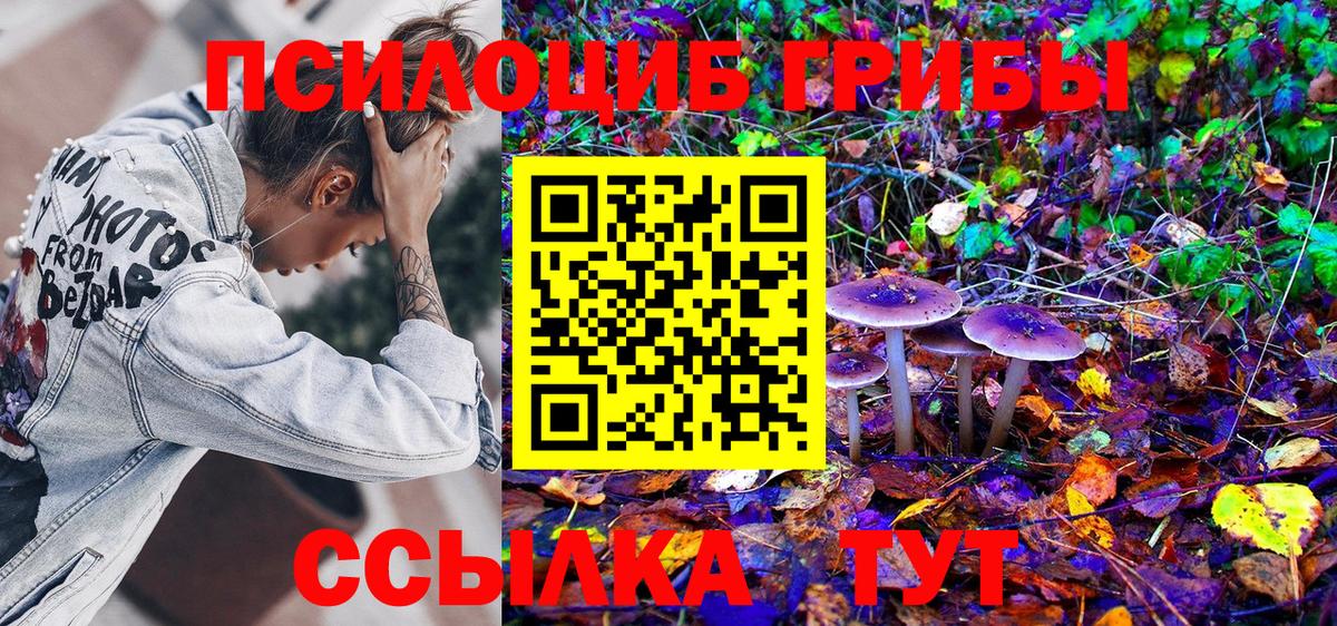 Галлюциногенные грибы Cubensis  Вход с VPN  Псилоцибиновые грибы Cubensis  Самара 